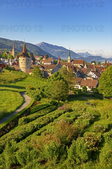 Town view with Capuchin tower and church