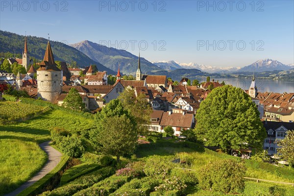 Town view with Zytturm