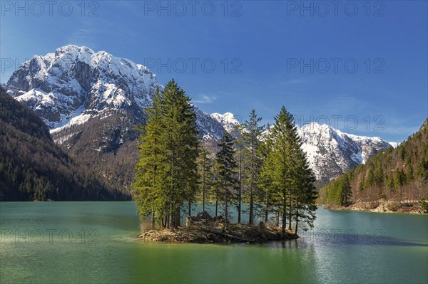 Lake Raibl with small tree island