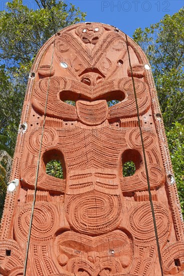 Maori Carving