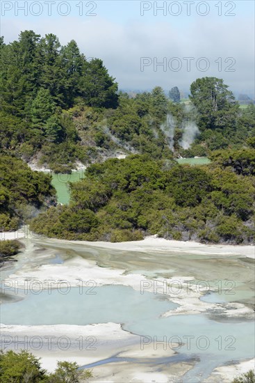 Wai-O-Tapu Thermal Wonderland