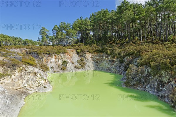 Wai-O-Tapu Thermal Wonderland