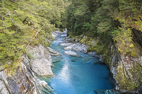 The Blue Pools of Haast Pass