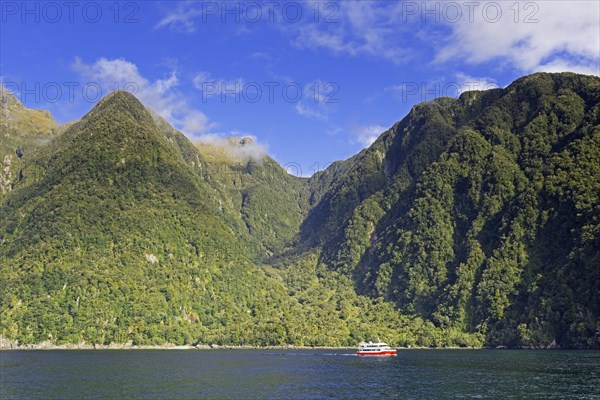 Cruise boat on Doubtful Sound