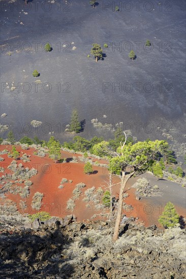 Sunset Crater Volcano National Monument