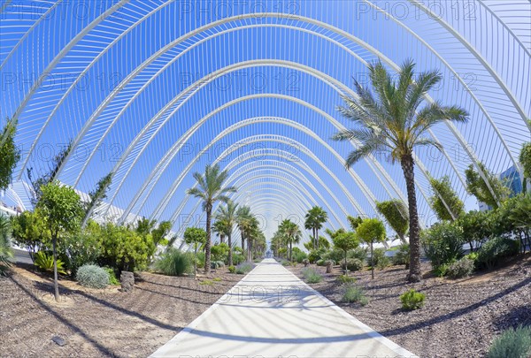 The Umbracle promenade with palm trees