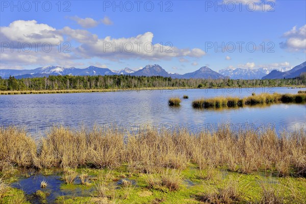 Moor pond in wet peat extraction site