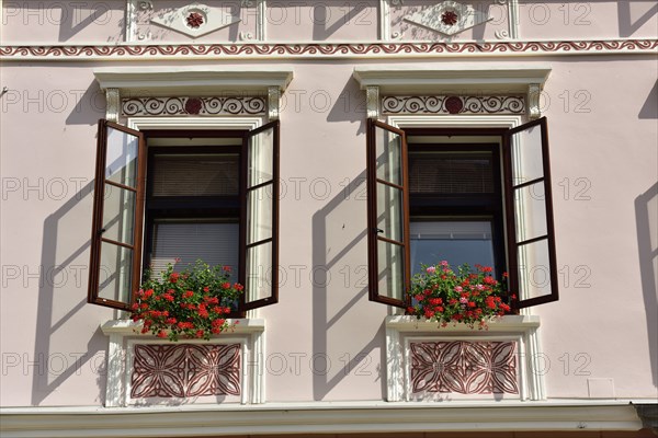 House facade with windows