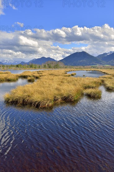 Moorland with cloudy sky