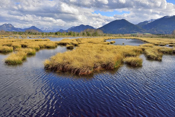 Moorland with cloudy sky