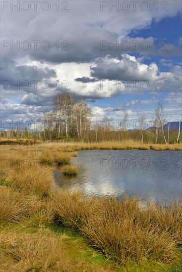 Moorland in cloudy skies