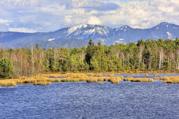 Moor landscape