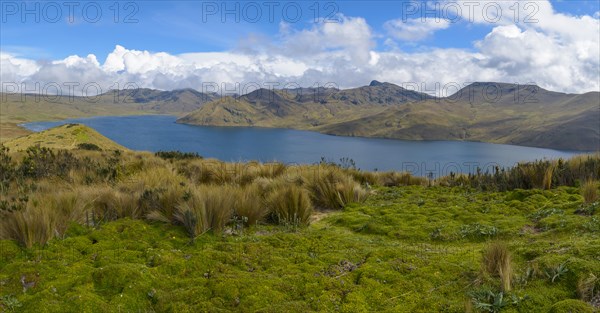 Laguna de la Mica