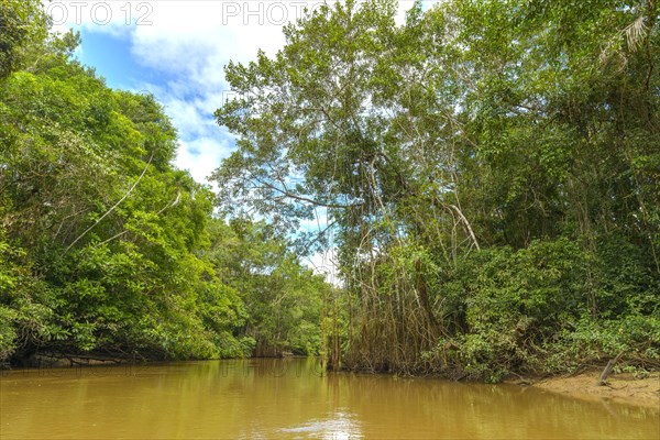 Rio Aguas Negras