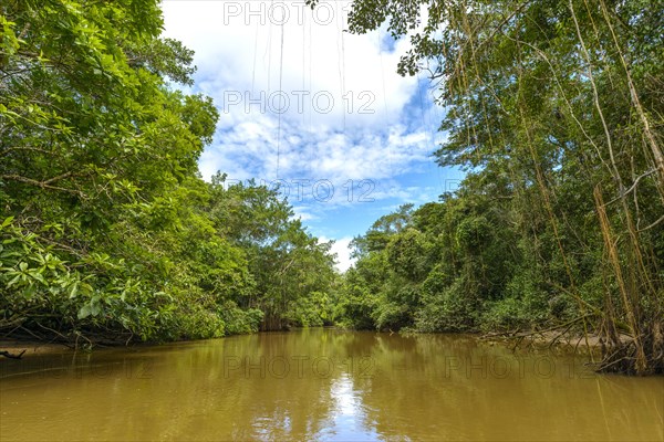 Rio Aguas Negras