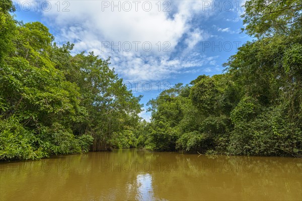 Rio Aguas Negras