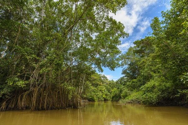 Rio Aguas Negras