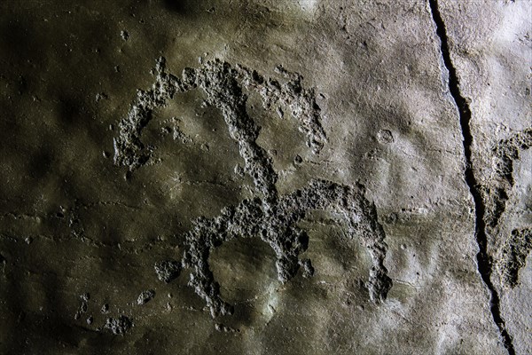 Petroglyph