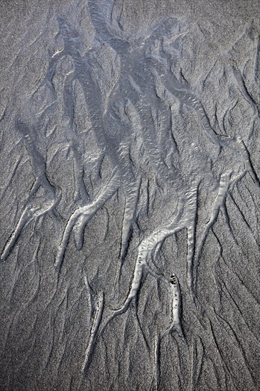Structures in the Punalu'u black sand beach