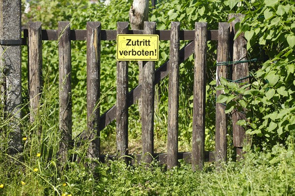 Garden fence