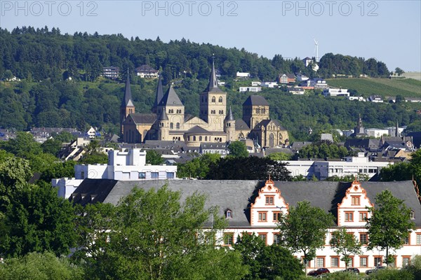 View over Trier with Dom St. Peter