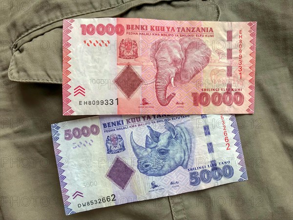 Tanzanian currency