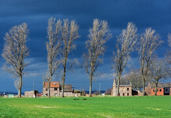 Abandoned village Pier near Inden