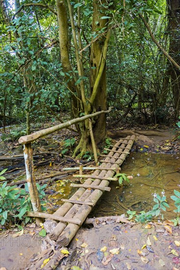 Bridge over a small stream