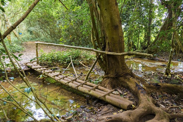 Bridge over a small stream