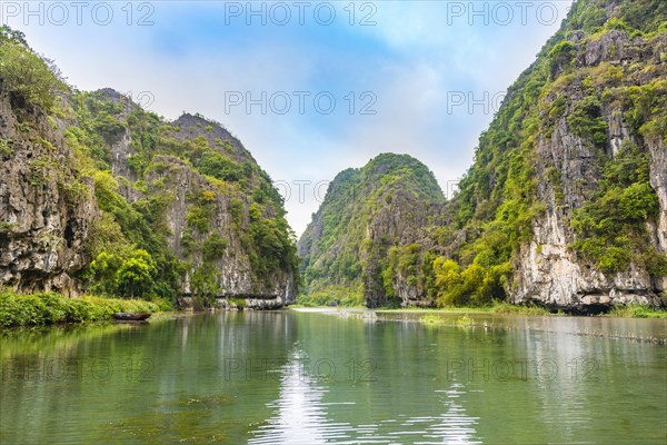 forested limestone rocks