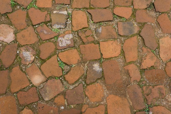 Old brick path