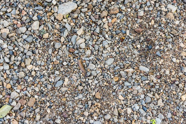 Gravel and rocks