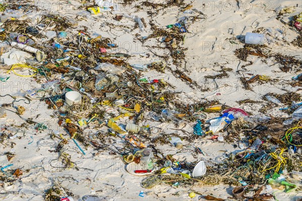 Trash strewn on Long Beach