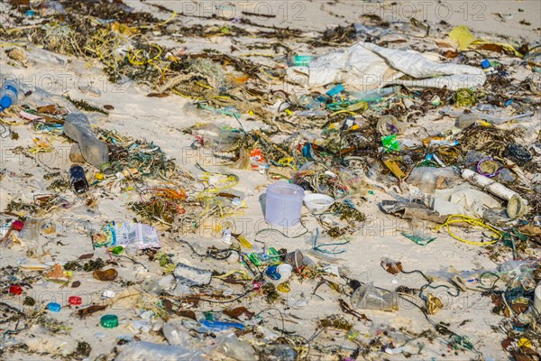 Trash strewn on Long Beach