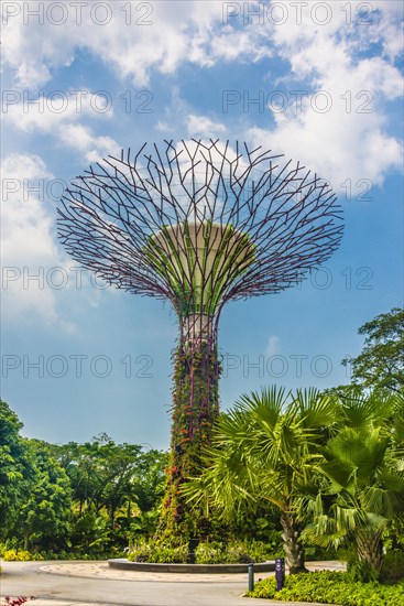 Supertree Grove in the Gardens by the Bay futuristic municipal park