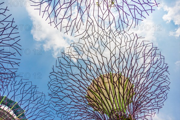 Supertree Grove in the Gardens by the Bay futuristic municipal park