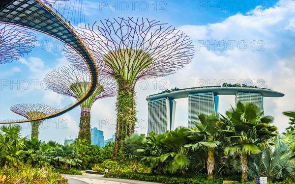 Supertree Grove with skyway in the Gardens by the Bay futuristic municipal park