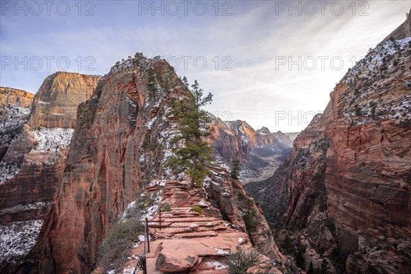 Hiking trail to Angels Landing