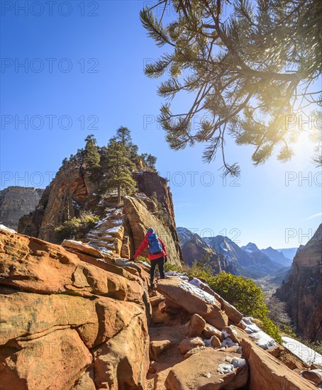 Young woman hiking on the via ferrata to Angels Landing