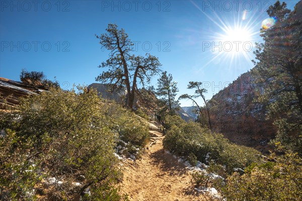 Hiking trail Angels Landing Trail