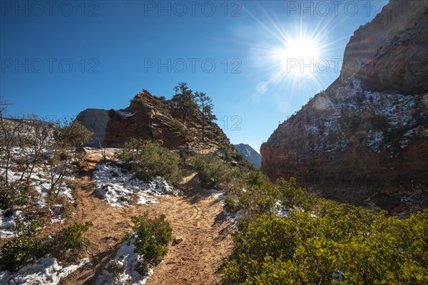 Hiking trail Angels Landing Trail