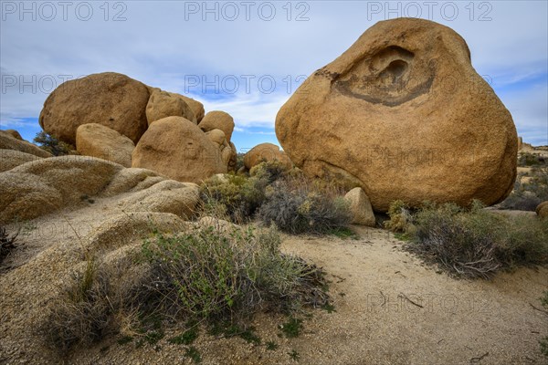 Sculpted Rocks