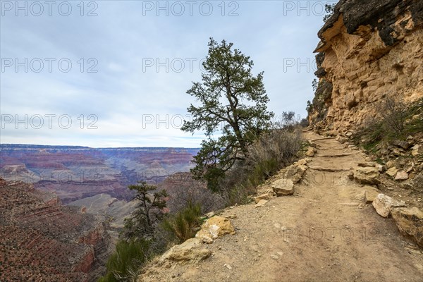 Hiking trail down into the Grand Canyon