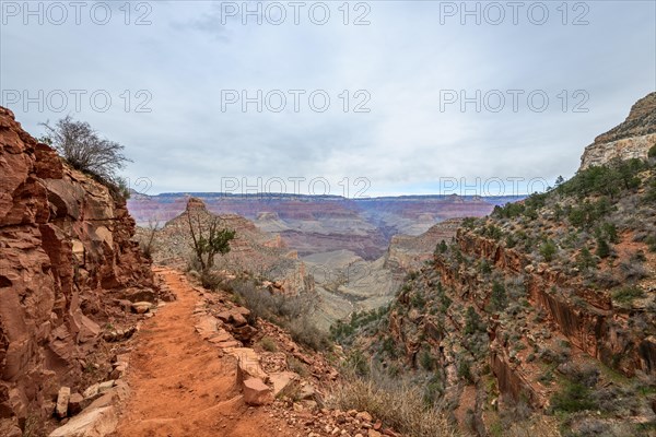 Hiking trail down into the Grand Canyon
