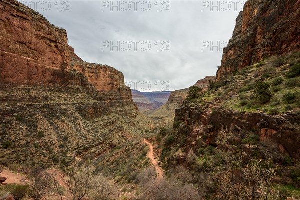 Gorge of the Grand Canyon