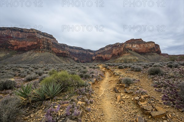 View from Plateau Point in the gorge of the Grand Canyon to the South Rim