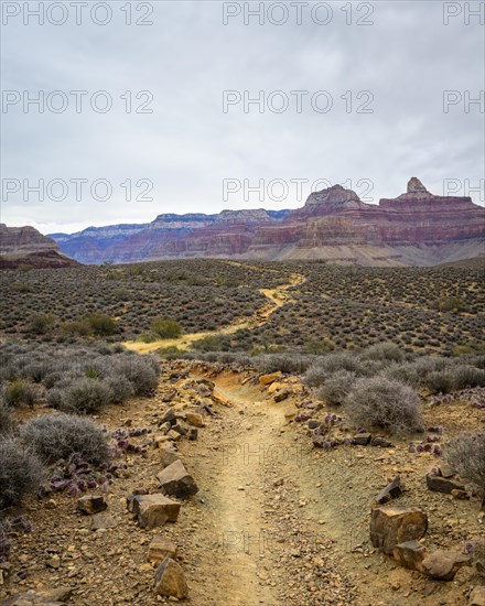 View from Plateau Point Trail in the canyon of the Grand Canyon to the South Rim