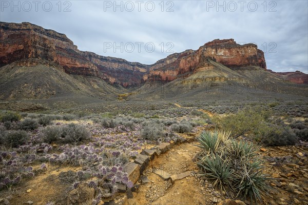 View from Plateau Point Trail in the canyon of the Grand Canyon to the South Rim