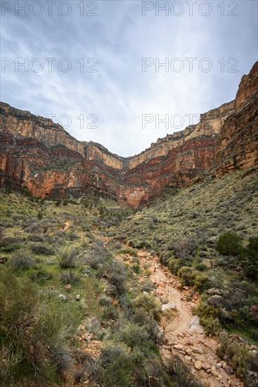 Rock face of the Grand Canyon