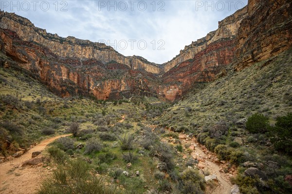 Rock face of the Grand Canyon